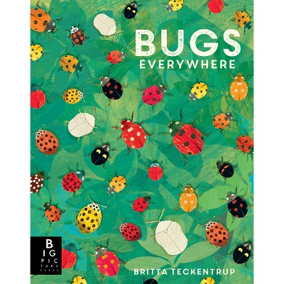 Bugs Everywhere - (Animals Everywhere) by Lily Murray