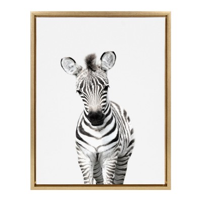 Kate and Laurel Sylvie Baby Zebra Framed Canvas by Amy Peterson, 18x24, Bright Gold