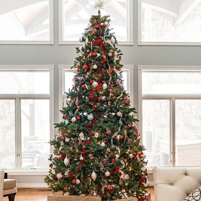 Northlight 10' Prelit Artificial Christmas Tree Full Northern Pine - Clear Lights