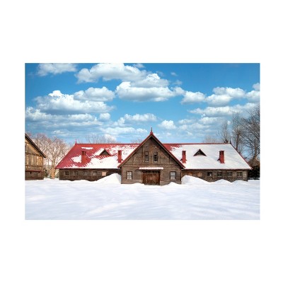 Trademark Fine Art - Alan Blaustein Hokkaido Landscape No10 Canvas Art