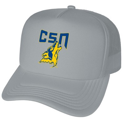 College Of Southern Nevada Primary Logo Foam Trucker Cap Grey Os