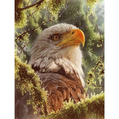 Sunsout High and Mighty 1000 pc Jigsaw Puzzle 21816