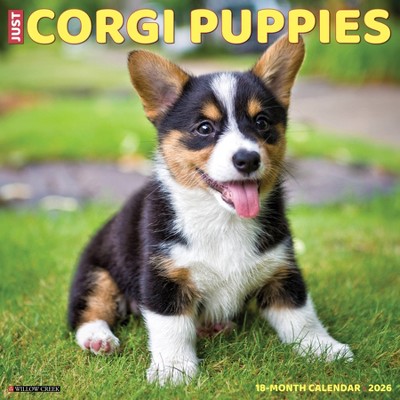 Willow Creek Press 2026 Corgi Puppies Wall Calendar