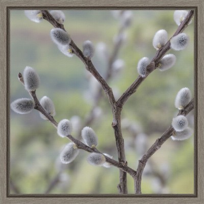Amanti Art Willows I by Jaynes Gallery Danita Delimont Canvas Wall Art Print Framed 16 x 16-in.