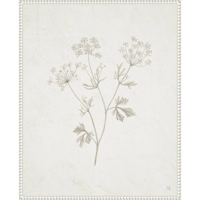 23"x28" Plants From The Meadow IV by Sarah Adams Framed Canvas Wall Art Print White - Amanti Art