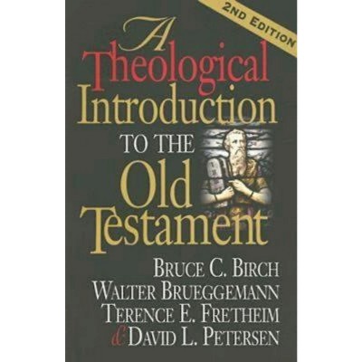 A Theological Introduction to the Old Testament - 2nd Edition by  Walter Brueggemann & Bruce C Birch & Terence E Fretheim & David L Petersen