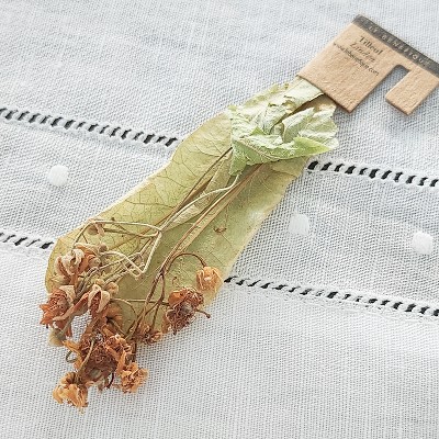 Le Benefique Organic Tea in Stem - Linden