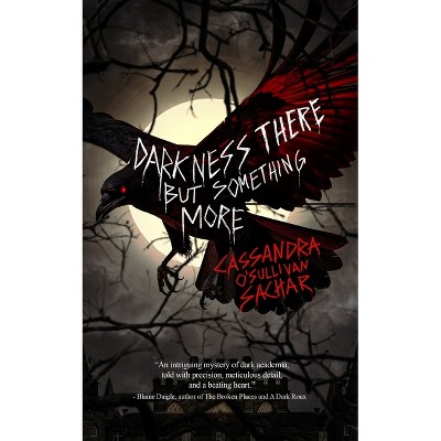 Darkness There But Something More - by  Cassandra Sachar & Wicked House Publishing (Paperback)