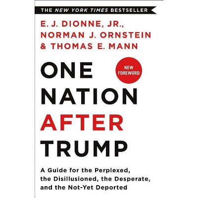 One Nation After Trump - by  E J Dionne & Norman J Ornstein & Thomas E Mann (Paperback)