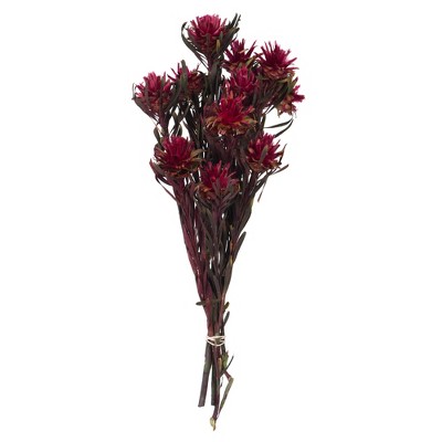 Vickerman all Natural Plumosum Bundle, Female, Preserved
