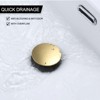 WOWOW 2 1/8 in. x 9 1/2 in. x 9 1/2 in. Pop-up Drain Assembly - 4 of 4