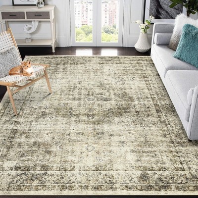 Vintage Area Rug Oriental Distressed Accent Carpet Non-Slip Low Pile Area Rug Washable Indoor Floor Cover