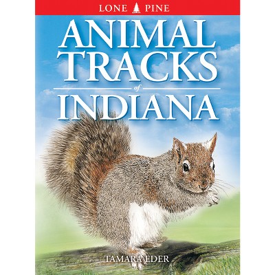 Animal Tracks of Indiana - by  Tamara Eder (Paperback)