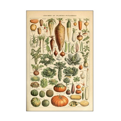Trademark Fine Art - Vintage Apple Collection Legumes Canvas Art