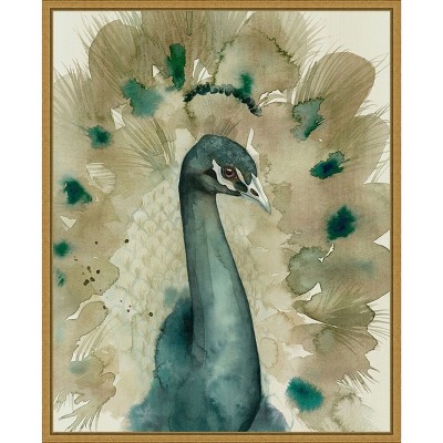 Amanti Art Sepia Peacock I by Grace Popp Framed Canvas Wall Art