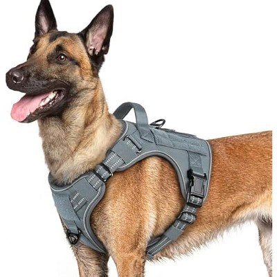 rabbitgoo Dog Harness for Large Dogs No Pull, l Handle, for Easy Walking and Training, Grey, L