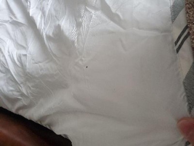 Guest review image 2 of 2, zoom in