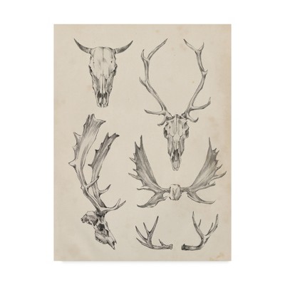 Ethan Harper "Skull And Antler Study II' Canvas Art - Trademark Fine Art