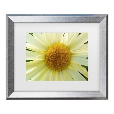 Trademark Fine Art - Leslie Montgomery Mellow Yellow Matted Framed Art