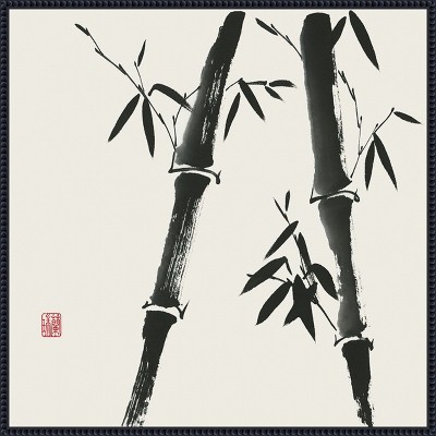 Amanti Art Bamboo Collection IV by Nan Rae Framed Canvas Wall Art