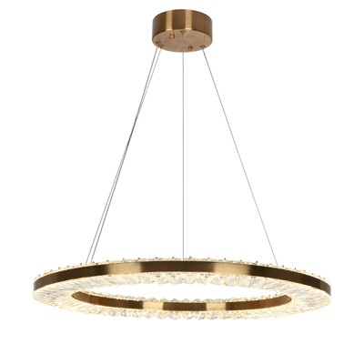 LNC Macrobotrys 1-Lights 23.6" Modern  Luxury Circle Crystal Integrated LED Chandelier, Gold/Black