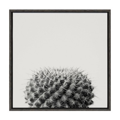 22" x 22" Sylvie Haze Succulent Cactus Short Framed Wall Canvas by The Creative Bunch Studio - Kate & Laurel All Things Decor
