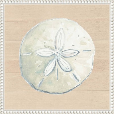 Amanti Art 16"x16" Sand Dollar on Wood Background by Patricia Pinto: Nautical Theme, Polystyrene Frame, Wall Decor