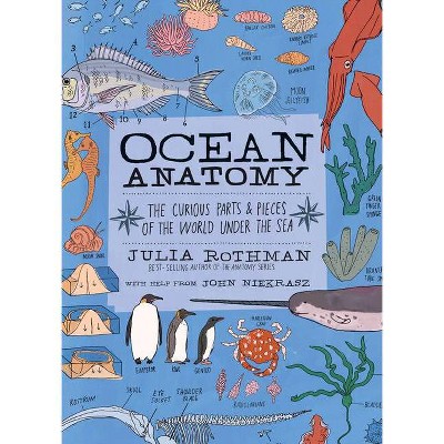 Ocean Anatomy - by  Julia Rothman (Paperback)