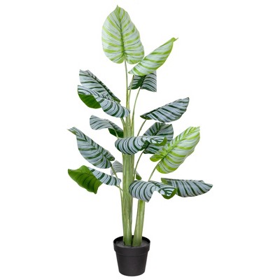 Northlight Potted Two Tone Green Calathea Artificial Floor Plant - 4'