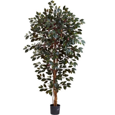 Nearly Natural 6-ft Capensia Ficus Tree
