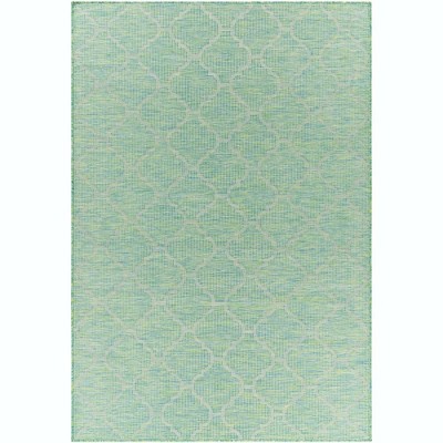 Livabliss Pasadena Woven Indoor and Outdoor Area Rugs
