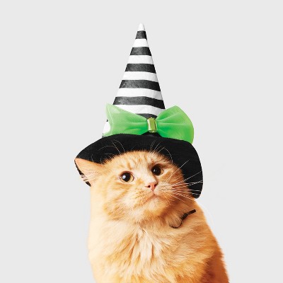 Witch Cat Headpiece Costume - Boots & Barkley™ Black One Size Fits Most