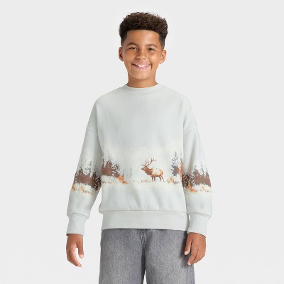 Boys' Fleece Pullover Sweatshirt - art class™