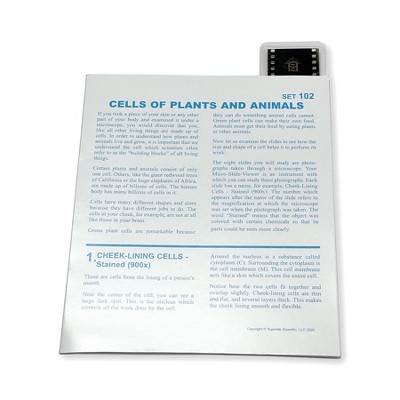 Supertek® Microslide, Cells Of Plants and Animals, 35mm