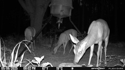 Guest review image 3 of 4, zoom in
