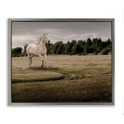 Stupell Industries Galloping Through Field Horse Floating Frame Canvas Art