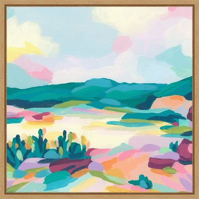 Amanti Art Pink Rock Valley I by June Erica Vess Framed Canvas Wall Art
