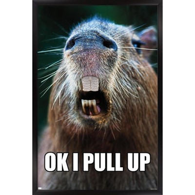 Trends International Capybara - Pull Up Framed Wall Poster Prints