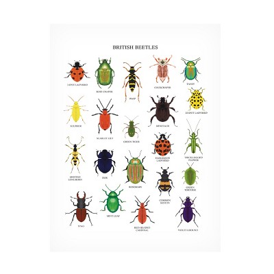 Trademark Fine Art - Sarah Frances British Beetles Canvas Art