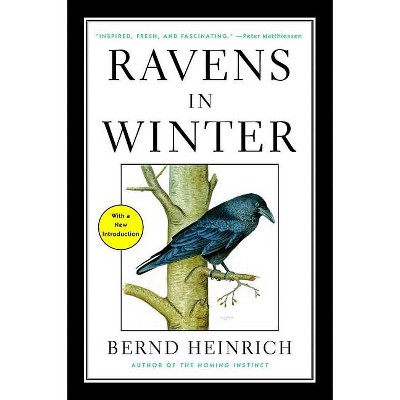 Ravens in Winter - by  Bernd Heinrich (Paperback)