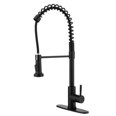 Stainless Steel Single Handle Pull-Down Kitchen Faucet with Commercial Style, Ideal for Laundry Bar and Camper Use