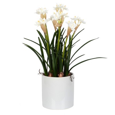 Vickerman 16.5" Artificial White Daffodil in Ceramic Pot.