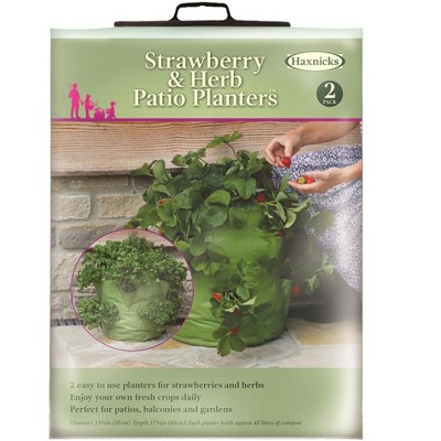 Tierra Garden Strawberry & Herb Patio Planter 2pk