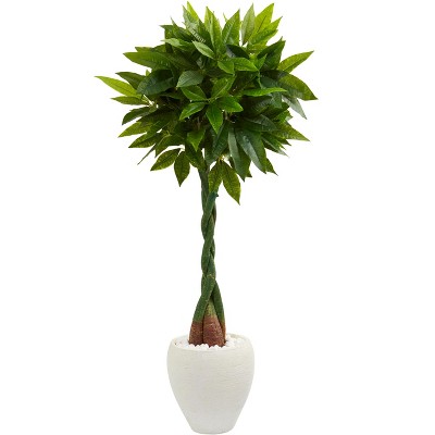 Nearly Natural 5-ft Money Artificial Tree in White Oval Planter (Real Touch