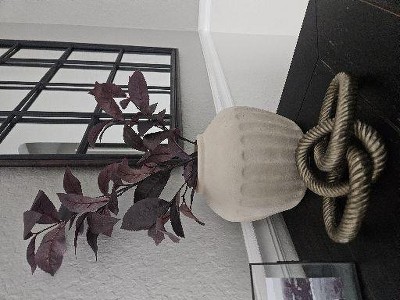 Guest review image 2 of 2, zoom in