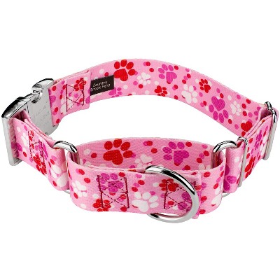 Country Brook Petz HossFit Jr Wide Martingale with Premium Buckle (Affection Collection)