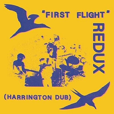 Chris Forsyth - First Flight Redux (Harrington Dub) (Vinyl)