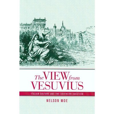 The View from Vesuvius - (Studies on the History of Society and Culture) by  Nelson J Moe (Paperback)