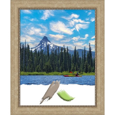 Amanti Art Astor Champagne Picture Frames