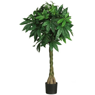 Nearly Natural 51-in Braided Money Tree